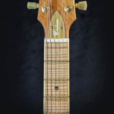 Andy Taylor Custom Semi Hollow Custom 2023 - Natural image 7