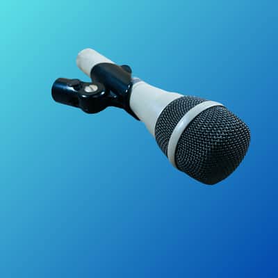 Electro-Voice PL80 Handheld Supercardioid Dynamic Microphone image 3
