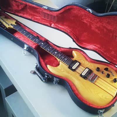 Vintage 80's Aria Pro II Hardcase for TS and RS Models image 21