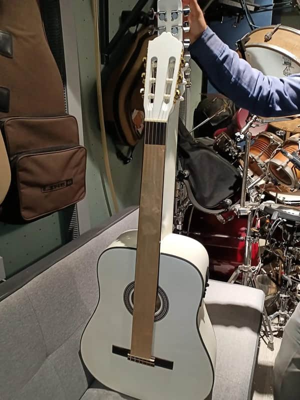 6 String Fretless Classical/ 12 String Acoustic Electric Double Sided Busuyi Double Neck Guitar 2022 + Case image 1