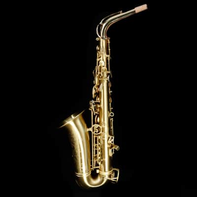 Selmer AS42M Professional Eb Alto Saxophone, Matte Finish image 3