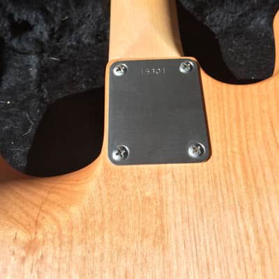 USA Custom Guitars Custom S Style image 11