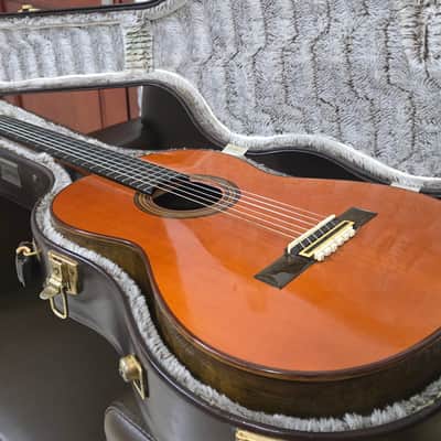 Yamaha GC-30A 1980 - Shellac image 1