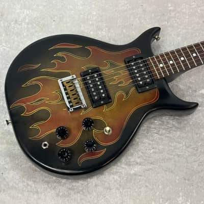 Washburn Raven electric guitar / flaming eagle refinish + Tweed case image 1