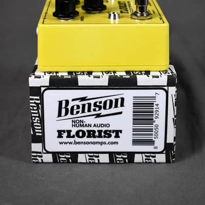 Immagine Benson Amps Florist (Yellow) - 8