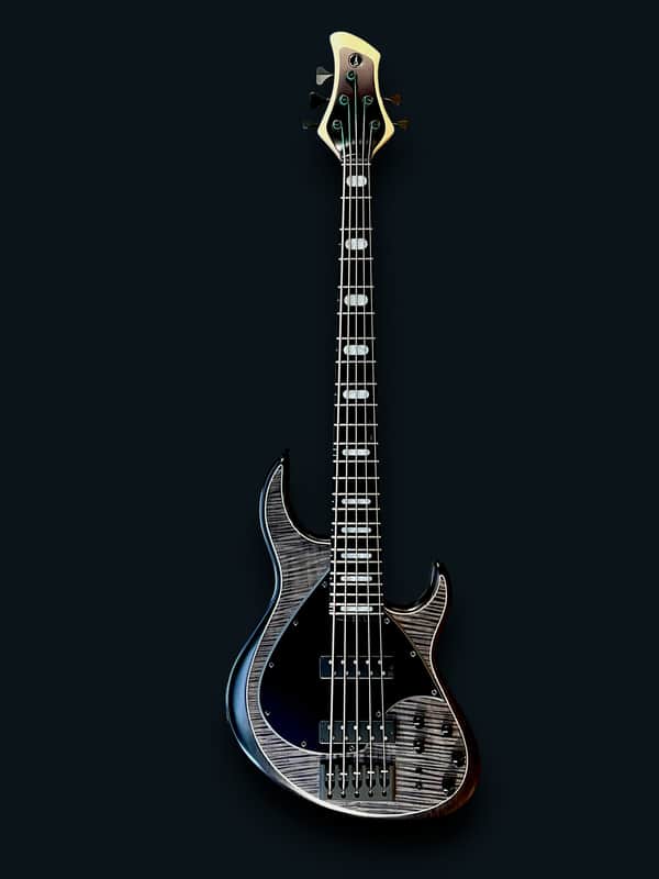 Meridian J-24 5 String 2025 - Carbon Black image 1