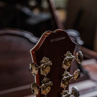 Epiphone SST Coupe 2018 - 2019 - Ebony image 17