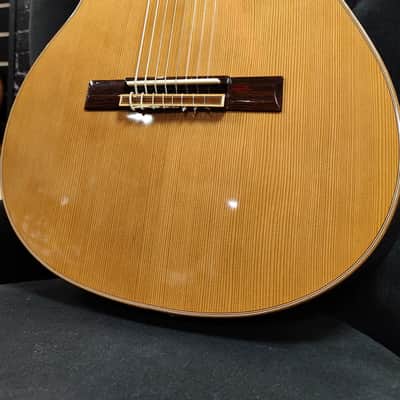 Ortega RCE 159-8 Performer Series 8-String Guitar image 3