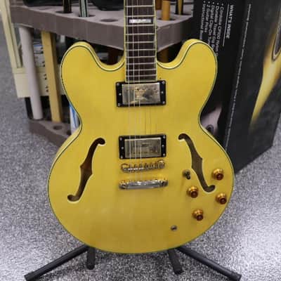 Epiphone Sheraton II 2008 - 2015 - Natural image 2
