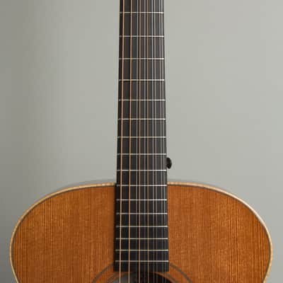 Circle Strings  A-1 10 String Acoustic Flat Top Guitar (2018), ser. #119, original molded white plastic hard shell case. image 8