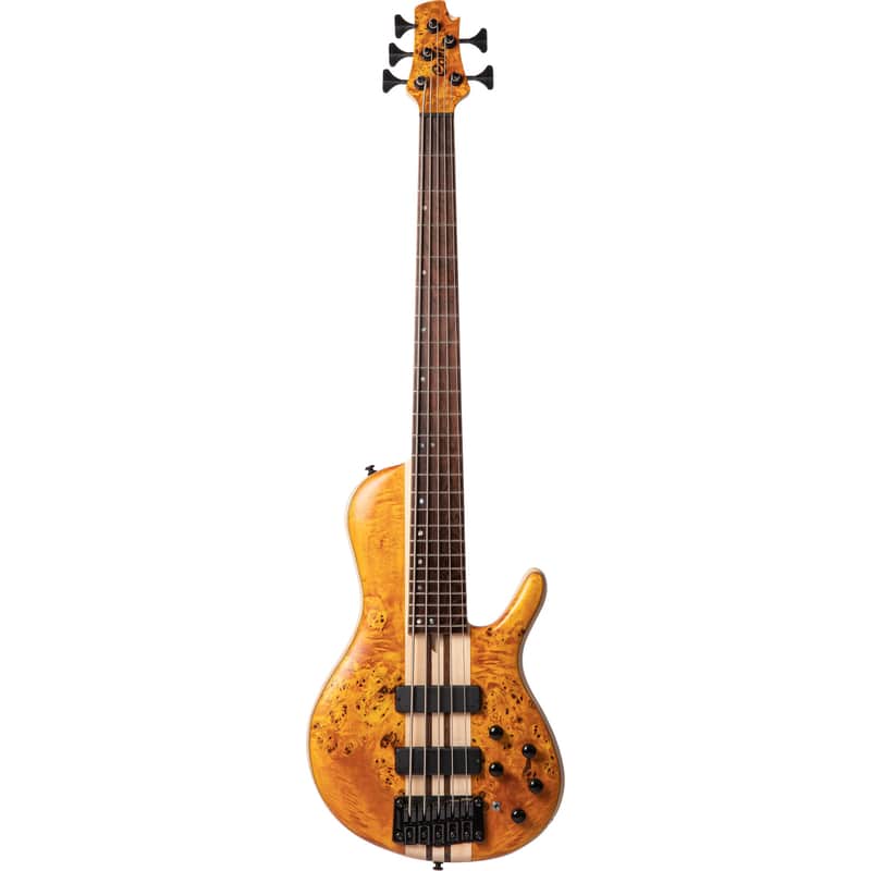 Cort Artisan Series A5 Plus SC image 1