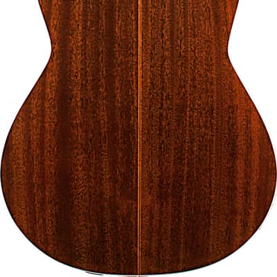 Godin Arena Pro CW EQ Thinline Acoustic-Electric Classical Guitar, Solid Spruce Top, Bourbon Burst image 3