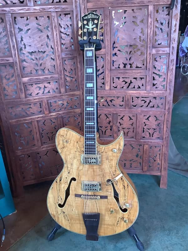Washburn Washburn HB150 SP - Custom / Limited Edition Hollowbody early 2000's - Spalted Maple image 1