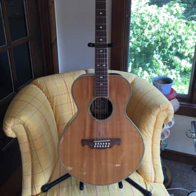Alvarez 2551 12 String Limited Edition Silver Anniversary Model Gibson L-1 L-00 l-2 look-alike 5037 image 22