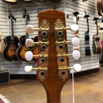Kentucky KM-505 Artist German Spruce/Alpine Maple A-Style Mandolin Amberburst w/Padded Gig Bag image 8