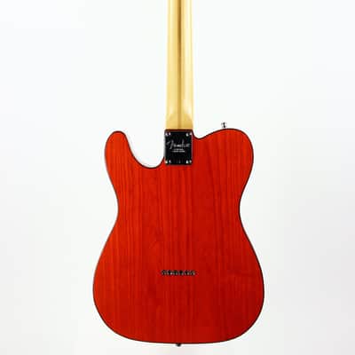 2001 Fender American 90's Telecaster Thinline DOUBLE BOUND TORTOISE Made in USA, ONE-OFF! Matching Headstock! image 8