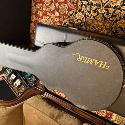 Hamer Special Steve Brown Trixter Owned image 20
