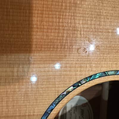 Breedlove Premier Concert 2019 - Natural image 13