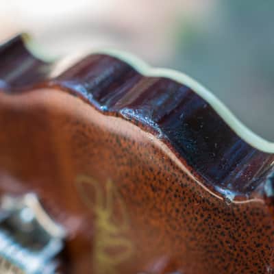 Scott Walker "Special" Guitar - 2011 - walnut & mahogany image 20