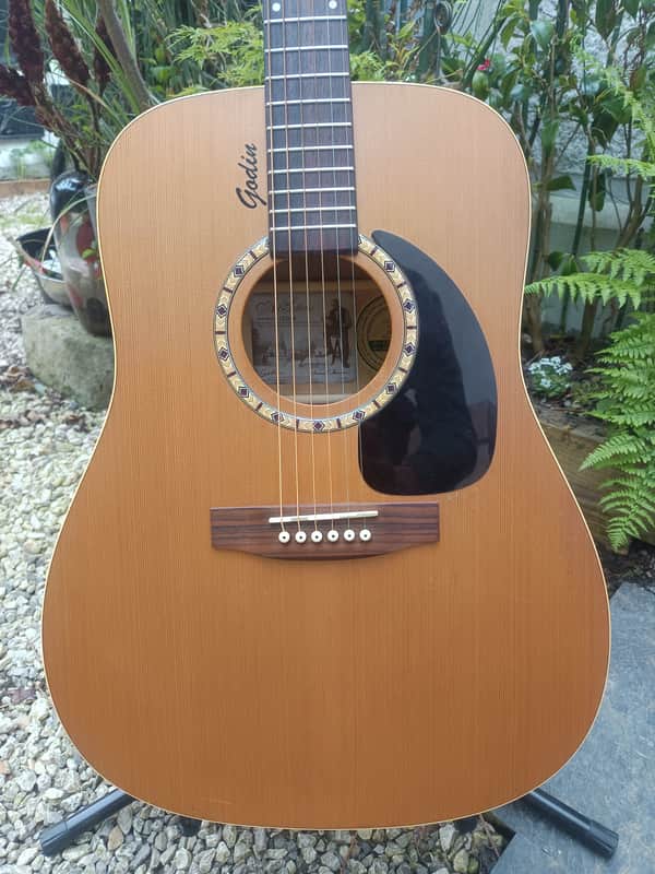 Art & lutherie Cedar 2006 image 1