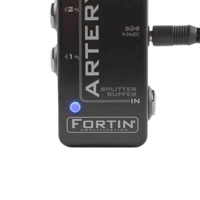 Fortin Artery imagen 5