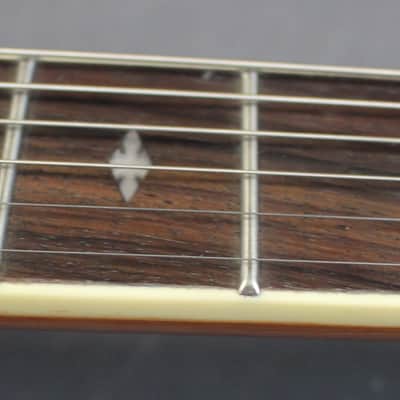 Epiphone Stagebird 6 String Electric Banjo image 12
