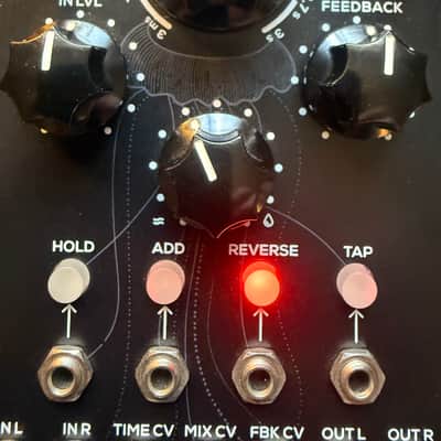 Erica Synths Digital Delay - Present - Black image 2