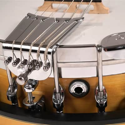 Gold Tone GT-500/L Pro Maple Neck 6-String Banjitar w/Hard Case, Pickup & Volume Control For Left Hand Players image 5