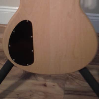 Carvin DC 150 image 5
