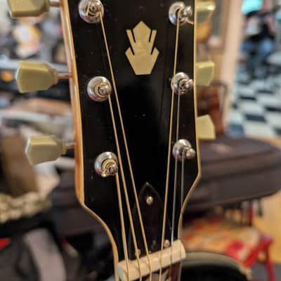 D'Agostino J2 Jumbo Acoustic Electric Guitar image 5