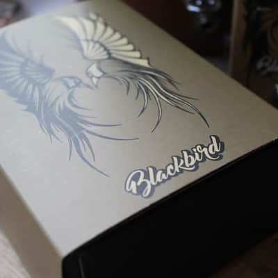 VS AUDIO "Blackbird" image 7