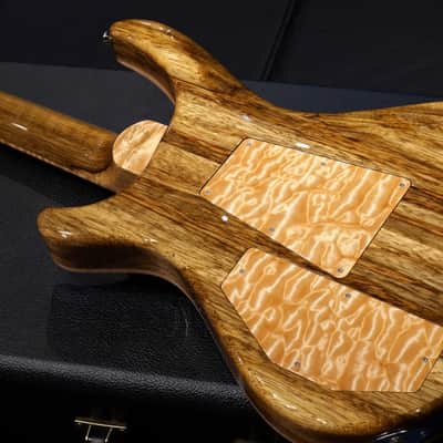 David Thomas McNaught Pheonix Rising 2013 - Black Limba image 15