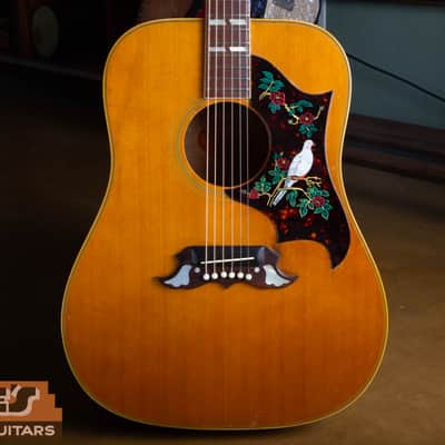 Gibson Dove 1968 - Natural image 1