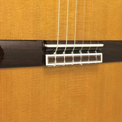 Takamine H5 Hirade Nylon-String Classical Acoustic Guitar w/ Hard Case - MIJ image 4
