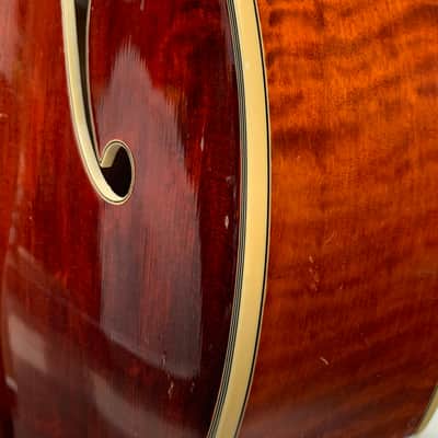 Eastman AR810CE – 2010 image 9