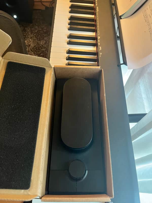 Expressive SE Touché MIDI/CV/USB Control Surface 2010s - Black/Natural image 1