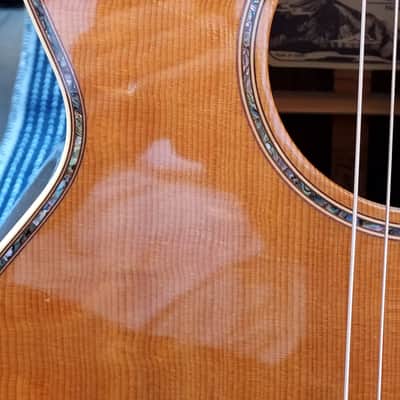 Takamine ENV460SC image 4