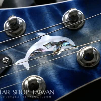 Nik Huber Dolphin II Hand-selected 5A Top-Blue Burst image 20