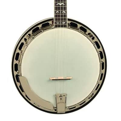 Recording King RK-R36-BR Madison Tone Ring Banjo, Mahogany Resonator image 1
