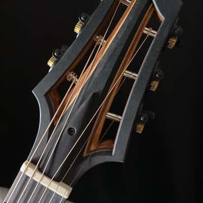 Benoit Lavoie Archtop 15.5" Parker Style Adjustable Neck image 16