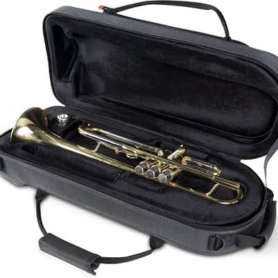Gator Cases GL-FLUTE-23 Adagio Series EPS Polyfoam Lightweight Case for B/C-Foot Flute image 3