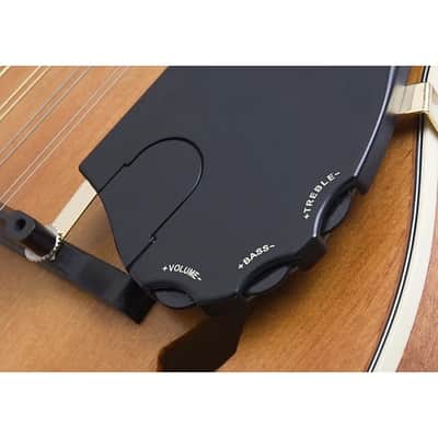 Epiphone MM-50E Professional Mandolin - Natural image 13