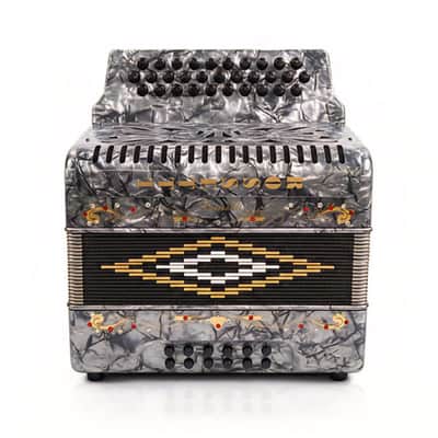 Rossetti 3112-FBE-GY Diatonic Button Accordion 31 Treble 12 Bass Grey FBE image 3