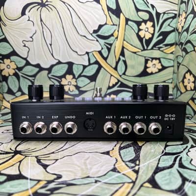 Pigtronix Infinity 3 Looper - Used image 5