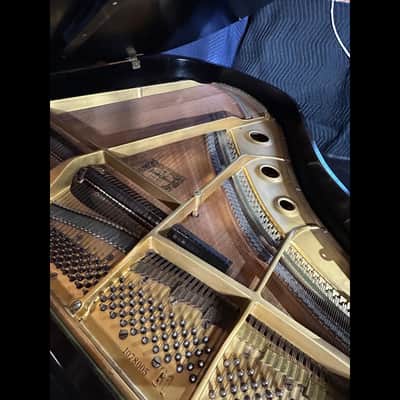 Yamaha G1 Grand Piano - 5'3" Ebony Great Sound image 7