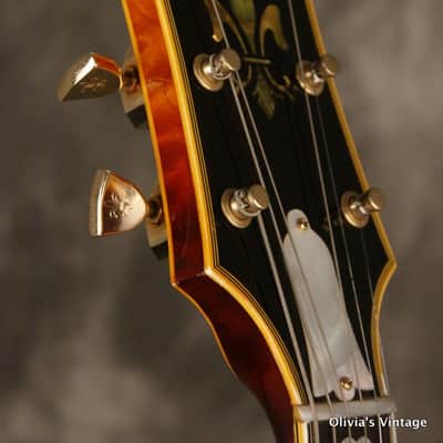 Gibson CITATION #14 electric archtop featured in 1975 Gibson catalog 1974 image 6
