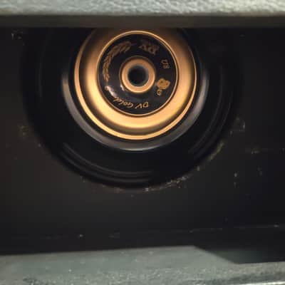 DV Mark Gold 112 Small 1x12" Cabinet - Local Pickup Only image 4