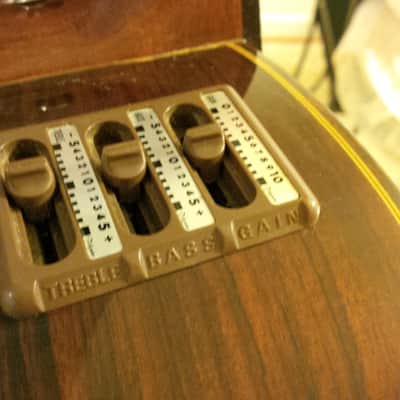 Takamine E30 1989 Acoustic Electric Classical Nylon Vintage Natural image 3