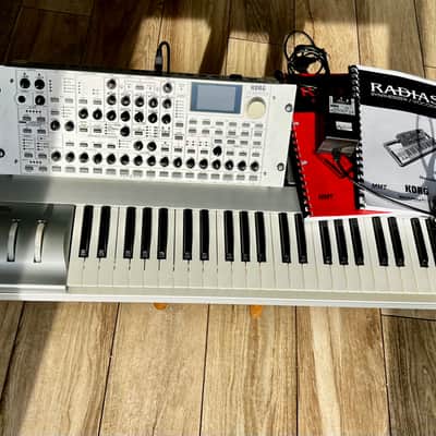 Korg Radias 2000s - Gray