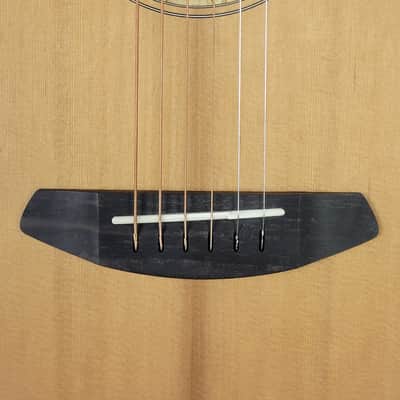 Breedlove Premier Companion E Brazilian LTD USA made With OHSC Free Shipping image 13